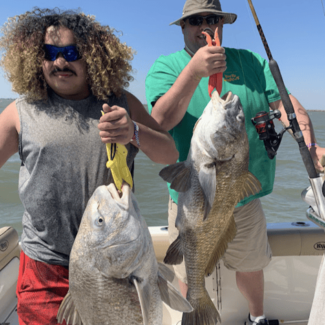 Black Drum Fishing in Galveston, Texas