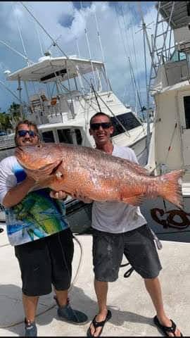 Corsair Reef Fishing