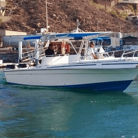 Boat blue marlin 30 ft