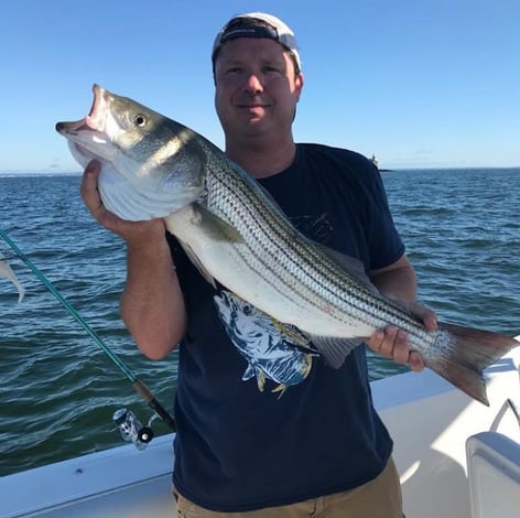 Striped Bass Fishing in Hampton Bays, New York