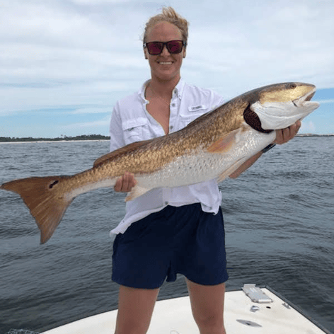 Redfish Fishing in Panama City, Florida