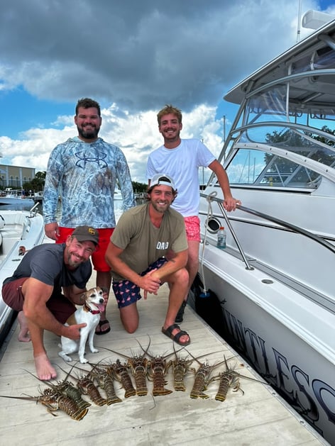 The Snorkeling for Lobster Addiction Starts Here