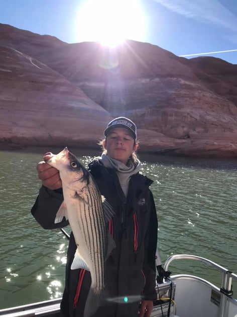 Lake Powell Fishing Trips