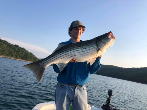 Striped Bass on beautiful Beaver Lake in NW Arkansas.