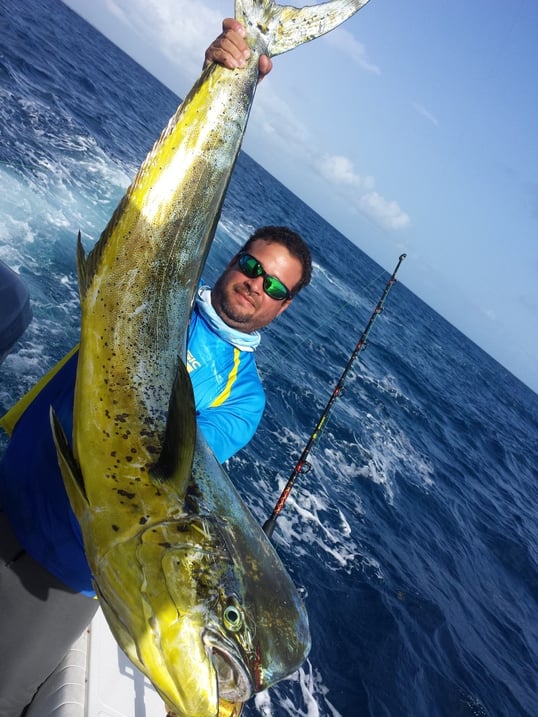 Fajardo Fishing Charters