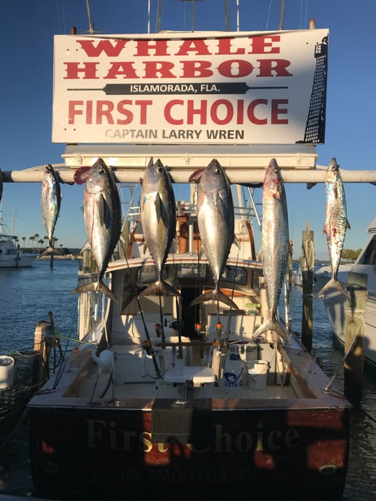 Islamorada Fishing Charters 8