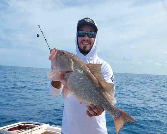 Clearwater Grouper