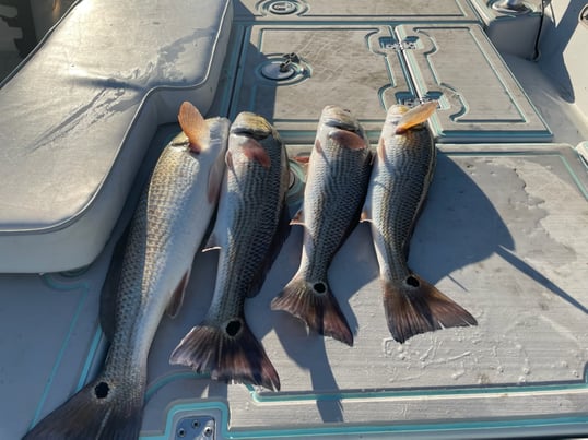 St Augustine Fishing Charters 4