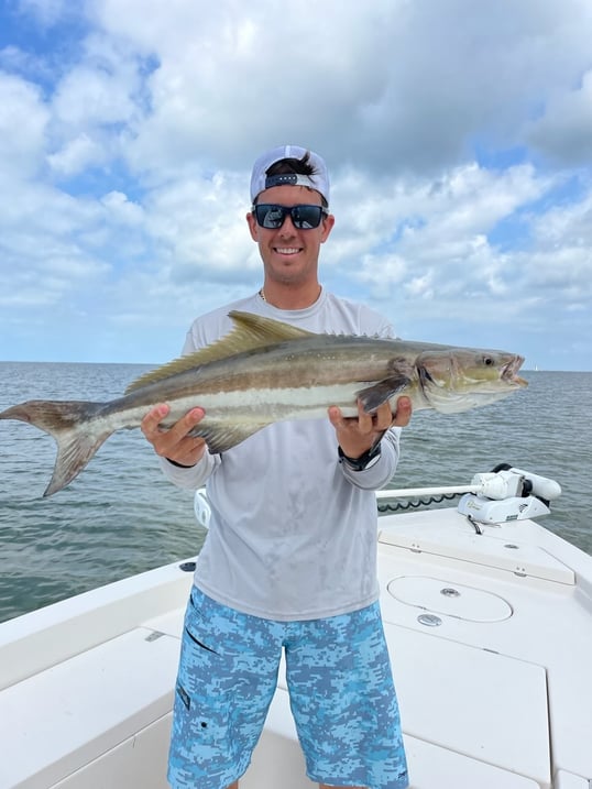 Fishing Guides in Fort Myers 13