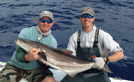 Cobia Caught Near Pensacola, Florida