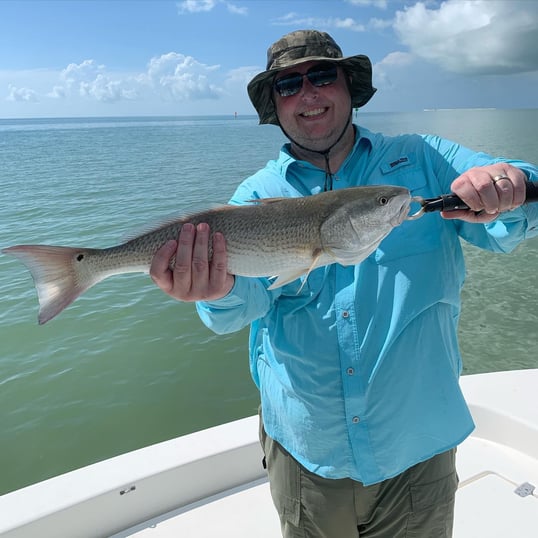 Redfish Caught Near Marco Island, Florida