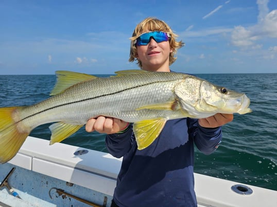 Snook Caught Near Marco Island, Florida