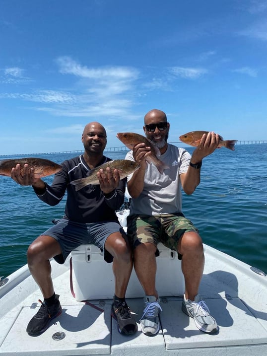 Mangrove Snapper Caught Near St. Petersburg, Florida