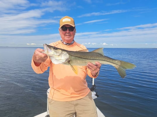 Snook Caught Near St. Petersburg, Florida