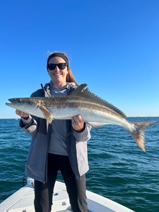 Cobia Caught Near St. Petersburg, Florida