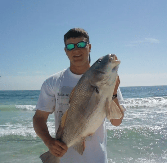 Fish Caught On Beach In Florida