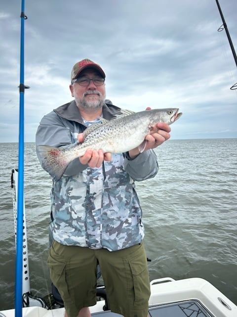 Speckled Trout Caught In Louisiana