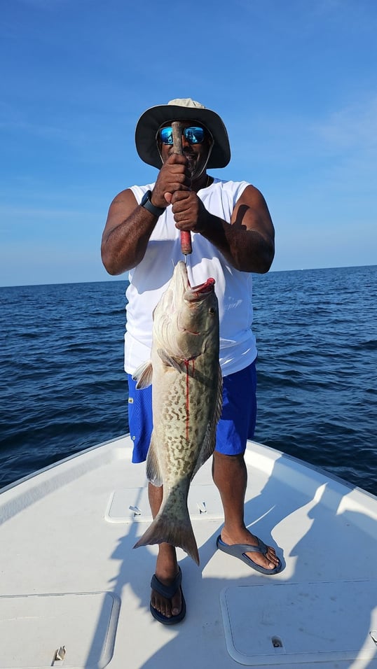 Gag Grouper Caught In Fort Walton Beach, FL