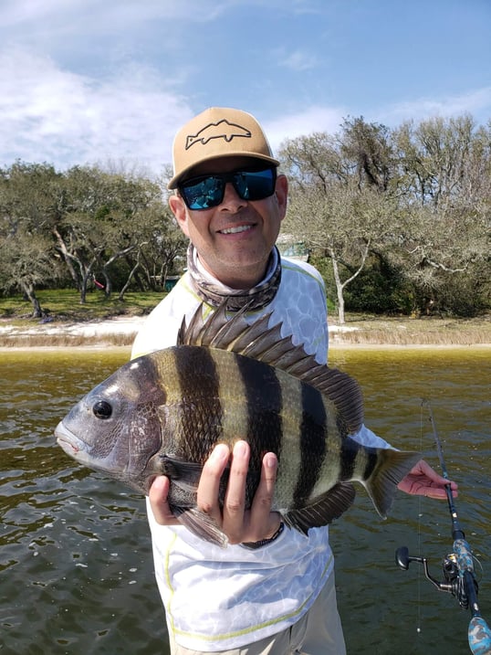 Sheepshead Caught In Fort Walton Beach, FL