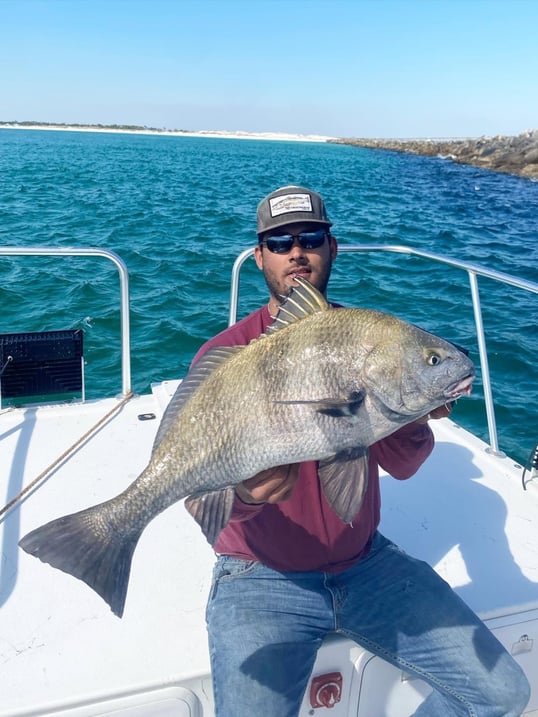 Flounder Caught At Fort Walton Beach FL
