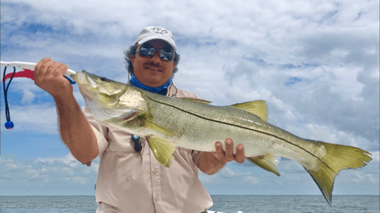Redfish Caught In St. Petersburg, FL