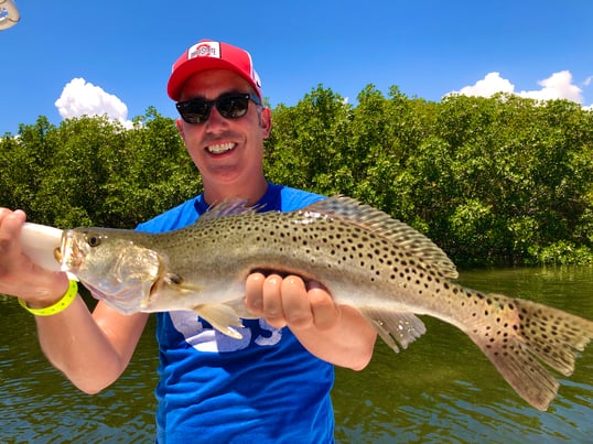 Speckled Trout Caught In St. Petersburg, FL