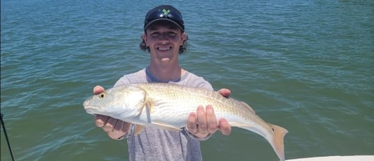 Redfish Caught In Naples, FL