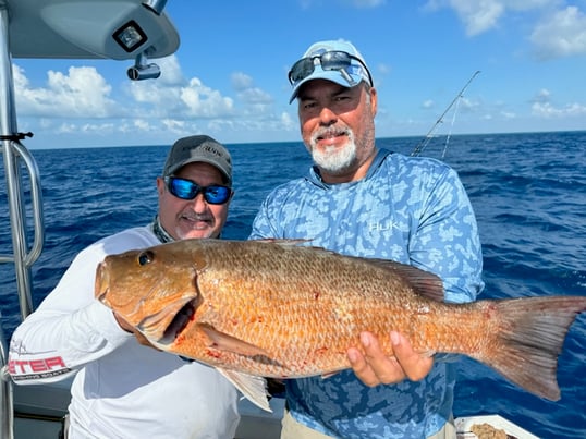 Mangrove Snapper Caught In FL