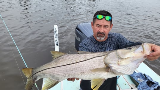 Snook Caught In Naples, FL