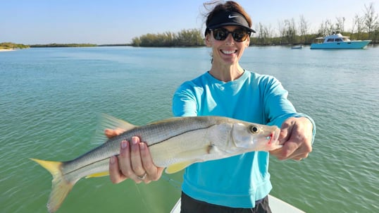 Snook Caught In Naples, FL