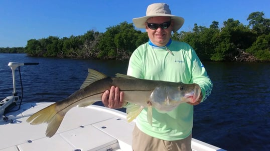 Snook Caught In Naples, FL