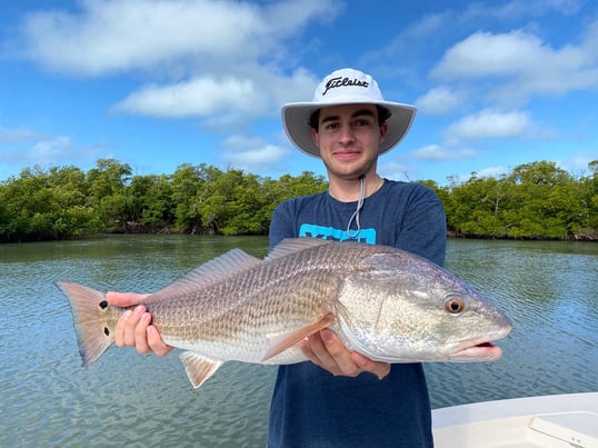 Fish Caught In Naples FL