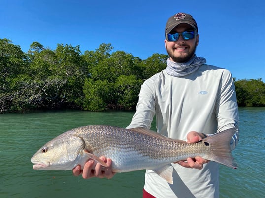 Fish Caught In Naples FL