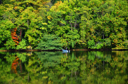 Photo of lake in Tennessee, USA