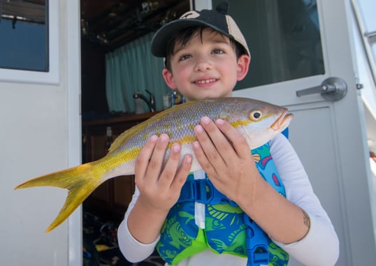 Yellowtail Snapper Caught at Pompano Beach