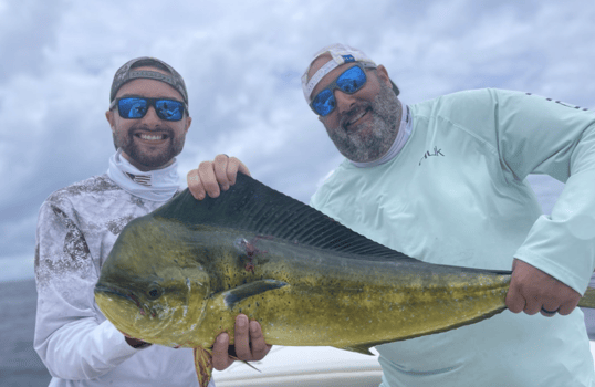 Mahi-Mahi Caught at Pompano Beach