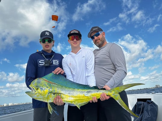 Mahi-Mahi Caught at Pompano Beach