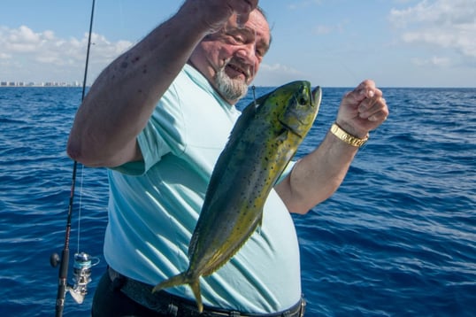 Mahi Mahi Caught at Pompano Beach FL