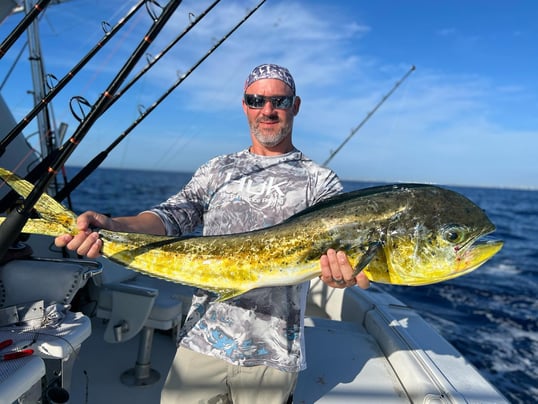 Mahi Mahi Caught at Pompano Beach FL