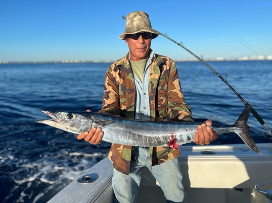 Wahoo Caught at Pompano Beach FL