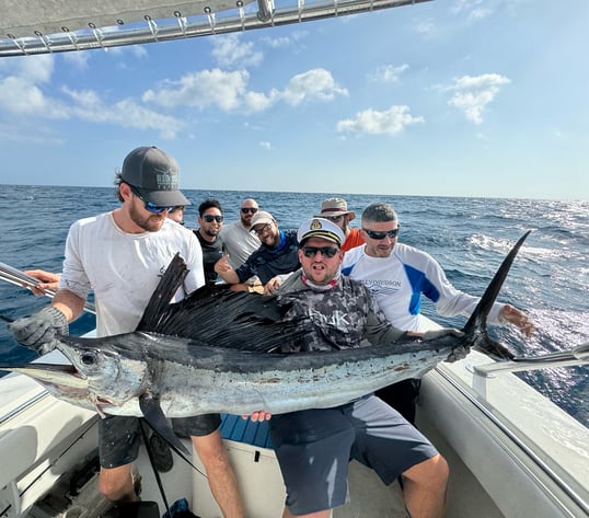 Swordfish Caught at Pompano Beach FL