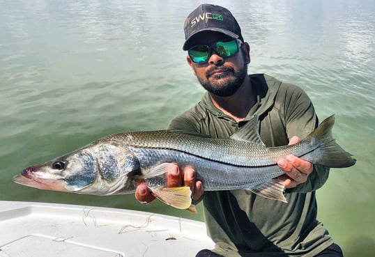 Man with snook in tavernier florida