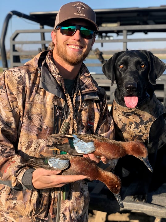 Cinnamon teal hunting with dog