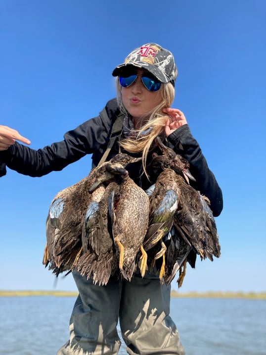 blue winged teal