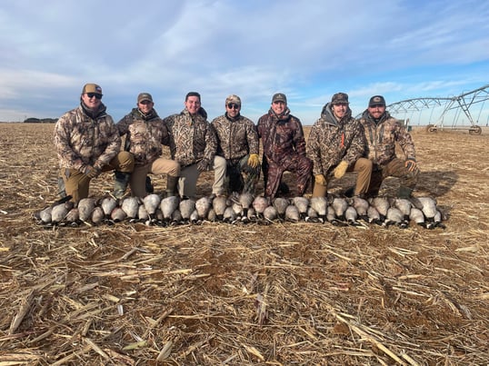 canada goose hunt