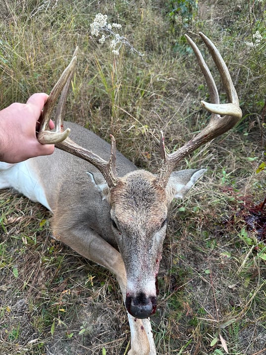 8 point buck