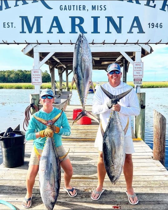 mississippi tuna fishing