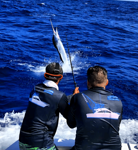 marlin fishing