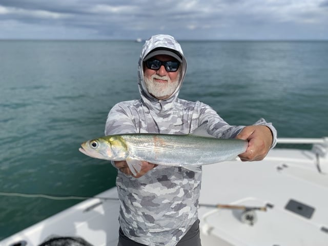 Jupiter Inlet On the Fly