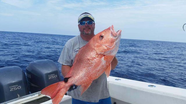 39' Offshore Deep Sea Trip